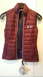 Gaastra dames bodywarmer rood, Kleding | Dames, Bodywarmers, Gaastra, Ophalen of Verzenden, Zo goed als nieuw, Maat 34 (XS) of kleiner