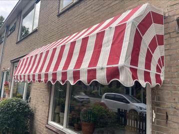 Markies 305 cm breed beschikbaar voor biedingen