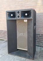 Peavey c-600 PA speaker, Gebruikt, 120 watt of meer, Front, Rear of Stereo speakers, Ophalen