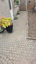 Koppelstones
Gratis ophalen, Tuin en Terras, Tegels en Klinkers, Ophalen, Gebruikt, Klinkers, 10 m² of meer