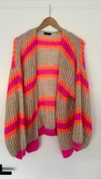Superleuk vest 1 maat, Ophalen of Verzenden, Zo goed als nieuw, Maat 38/40 (M), Beige