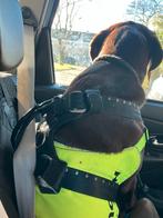 Auto tuig voor grote honden ( verstelbaar), Ophalen of Verzenden, Gebruikt