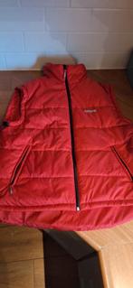 Sonnema bodywarmer NIEUW, Kleding | Heren, Ophalen of Verzenden, Nieuw