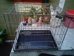 Hondenbench, Dieren en Toebehoren, Hondenhokken, Ophalen, Gebruikt, Minder dan 75 cm, Minder dan 65 cm