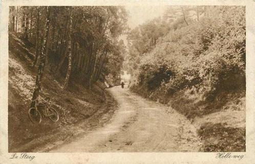 (377-397-007) De Steeg Holleweg, Verzamelen, Ansichtkaarten | Nederland, Gelderland, Verzenden