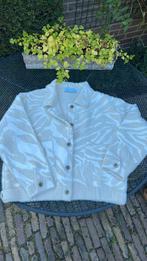 Rino & Pelle vest XL nieuw, Ophalen of Verzenden, Nieuw, Maat 46/48 (XL) of groter