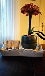 Kunst Amaryllis met stenen sierbloempot,  dienblaadje en wax, Huis en Inrichting, Woonaccessoires | Kunstplanten en Kunstbloemen