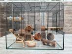 Knaagdierenhok met toebehoren, Dieren en Toebehoren, Ophalen of Verzenden, Zo goed als nieuw