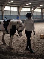 Verzorg pony ‼️gezocht ‼️, Ophalen of Verzenden