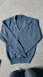 Blauwe Trui met V-hals - Maat M, Verzenden