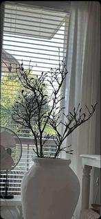 Gezocht grote oude magnolia tak minimaal 125 hoog, Ophalen of Verzenden, Zo goed als nieuw