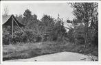 Oosterhout, Kampeercentrum 't Haasje, tenten, Verzenden, 1940 tot 1960, Gelopen, Noord-Brabant