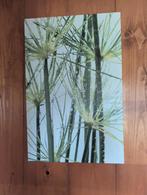 Drie witte canvassen met groene bamboe print, Overige materialen, 50 tot 75 cm, Ophalen of Verzenden, Zo goed als nieuw