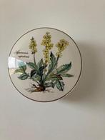 PUNTGAAF Villeroy & Boch schaaltje BOTANICA porselein, Ophalen of Verzenden, Nieuw, Porselein, Bord of Schaal
