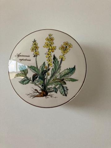 PUNTGAAF Villeroy & Boch schaaltje BOTANICA porselein beschikbaar voor biedingen