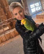 amazone papegaaien, Meerdere dieren, Papegaai, Pratend