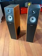 Tannoy P40 staande luidsprekers, Audio, Tv en Foto, Luidsprekers, Zo goed als nieuw, 60 tot 120 watt, Front, Rear of Stereo speakers