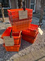 Grijpkratten Bollenkratten Magazijnbakken, Doe-het-zelf en Verbouw, Kratten en Dozen, Gebruikt, 40 tot 60 cm, Minder dan 35 cm