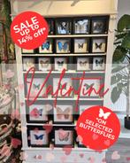 Valentijn Tip! 14% korting op opgezette vlinders, Verzamelen, Dierenverzamelingen, Ophalen of Verzenden, Nieuw, Insect, Opgezet dier
