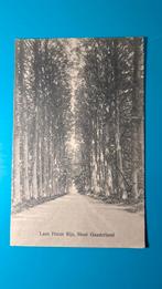 Rijs Laan Huize Rijs, mooi Gaasterland, Ophalen of Verzenden, Voor 1920, Ongelopen, Friesland