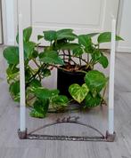 mooie metalen kandelaar, Ophalen of Verzenden, Zo goed als nieuw, Metaal