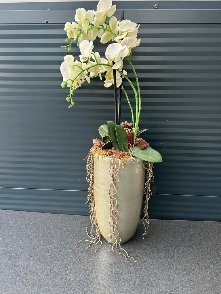 Mooie kunst orchidee in pot, Ophalen, Zo goed als nieuw, Rond, Kunststof