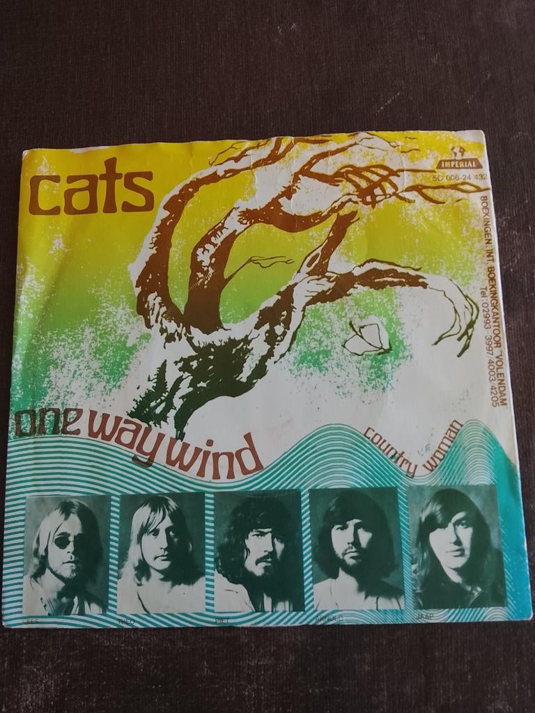 The Cats, Cd's en Dvd's, Vinyl Singles, Ophalen of Verzenden, Gebruikt, Pop
