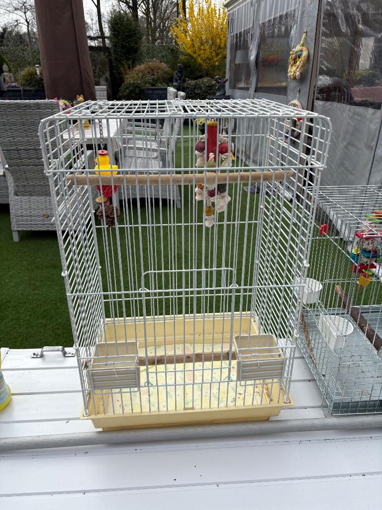 Vogelkooi, Ophalen, Gebruikt, Metaal, Vogelkooi