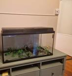 Aquarium met toebehoren, Ophalen, Leeg aquarium