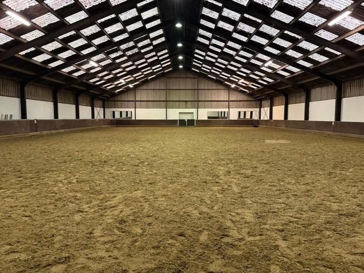Trainingsplekken en pensionstalling beschikbaar, Dieren en Toebehoren, Stalling en Weidegang, Stalling