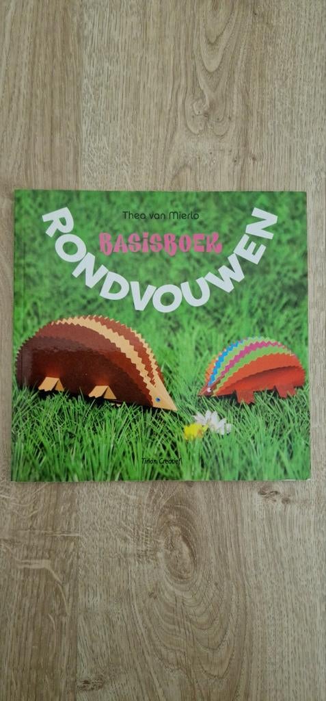 Basisboek Rondvouwen - Thea van Mierlo, Boeken, Ophalen of Verzenden, Zo goed als nieuw, Scrapbooking en Knutselen, Thea van Mierlo