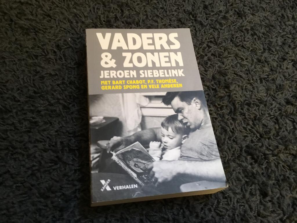 Vaders & Zonen  Jeroen Siebelink, Boeken, Ophalen of Verzenden, Zo goed als nieuw