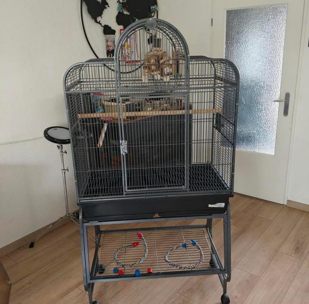 Papegaaienkooi, Dieren en Toebehoren, Vogels | Hokken en Kooien, Ophalen, Metaal, Vogelkooi