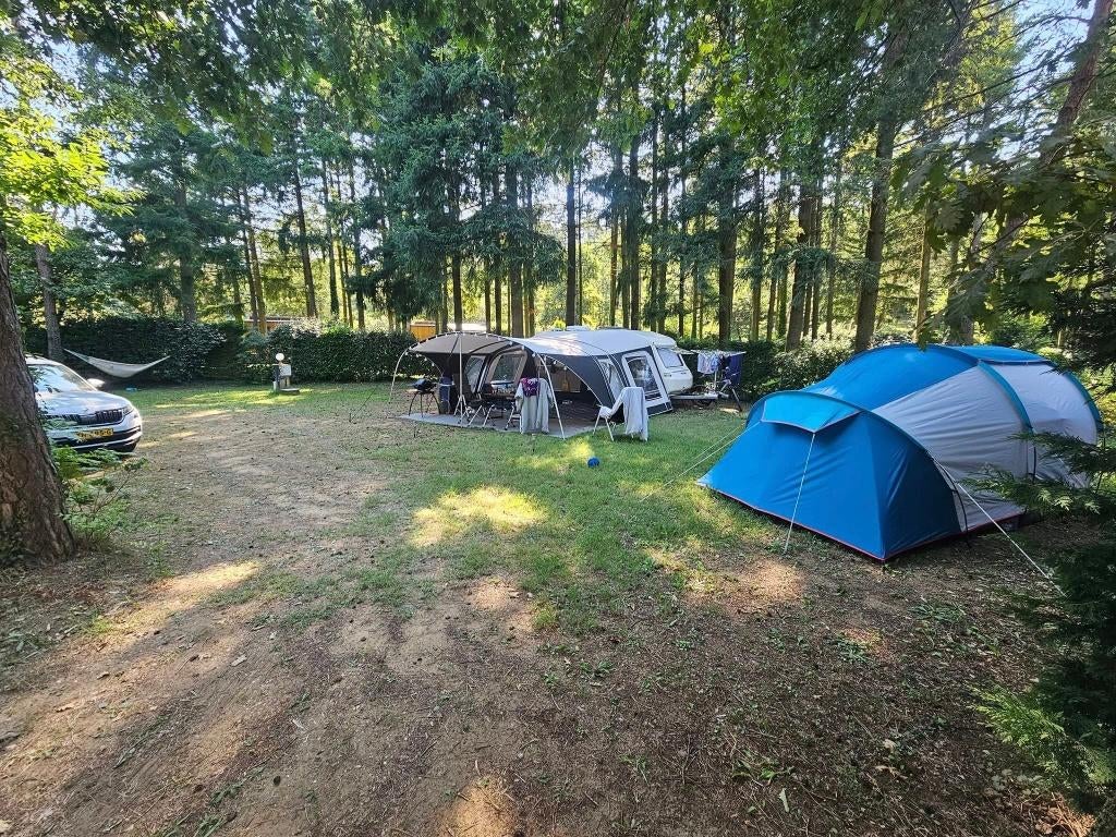 unico bologna 280 voortent + pet + luifel 2x omloop 09.1, Ophalen, Zo goed als nieuw, Ten Cate All Season 200g/m2, Unico Ventura