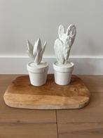 2 cactussen van gips, Verzenden, Zo goed als nieuw