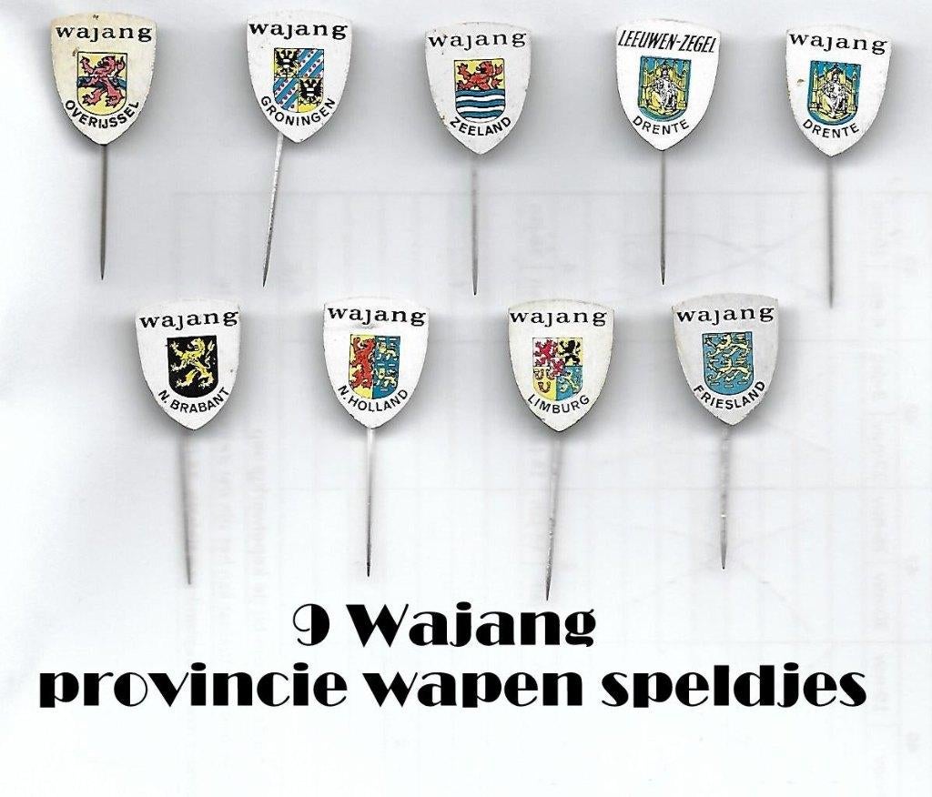 sp101 -- Wajang provincie - wapen speldjes -- 9 stuks, Verzamelen, Speldjes, Pins en Buttons, Ophalen of Verzenden, Gebruikt, Overige onderwerpen