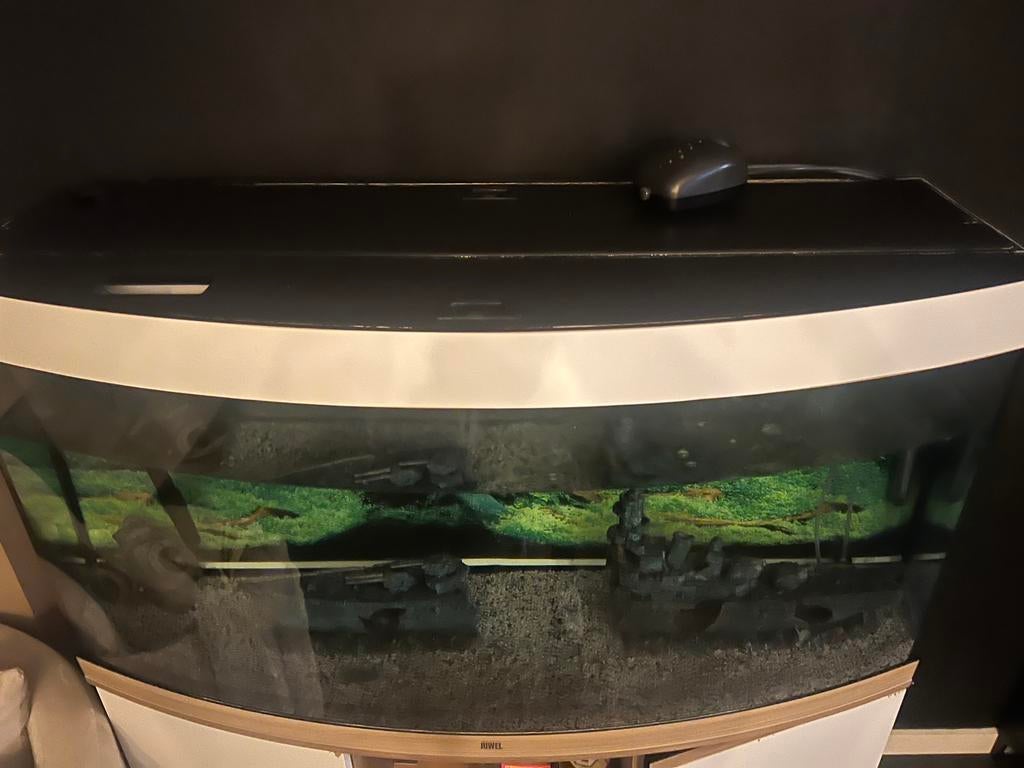 Aquarium, Dieren en Toebehoren, Ophalen of Verzenden, Zo goed als nieuw