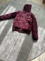 Damesjas maat L Bordeaux rood maat 42 - 44, Ophalen of Verzenden, Zo goed als nieuw, Maat 42/44 (L), Rood