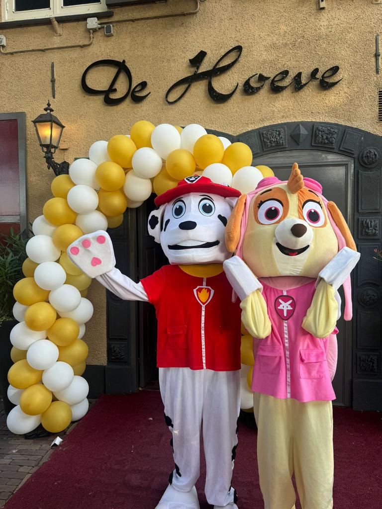 Mascotte Kostuums te Huur- Kinderhelden, Ophalen, Gebruikt, Pak of Jurk