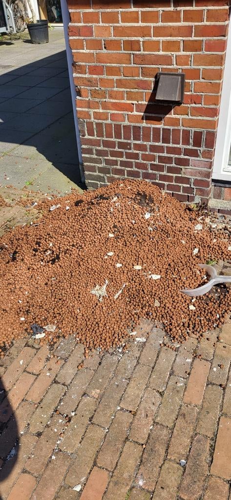 Gratis hydrokorrels voor uw planten, Tuin en Terras, Planten | Tuinplanten, Ophalen, Overige soorten, Volle zon