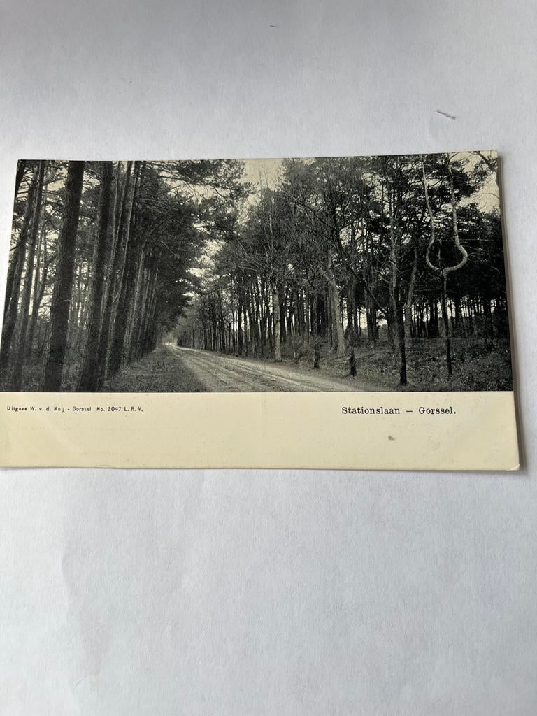 Ansichtkaart Gorssel Stationslaan, Ophalen of Verzenden, Ongelopen, Gelderland