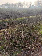 Gratis snoeihout voor paasvuur, Minder dan 3 m³, Ophalen