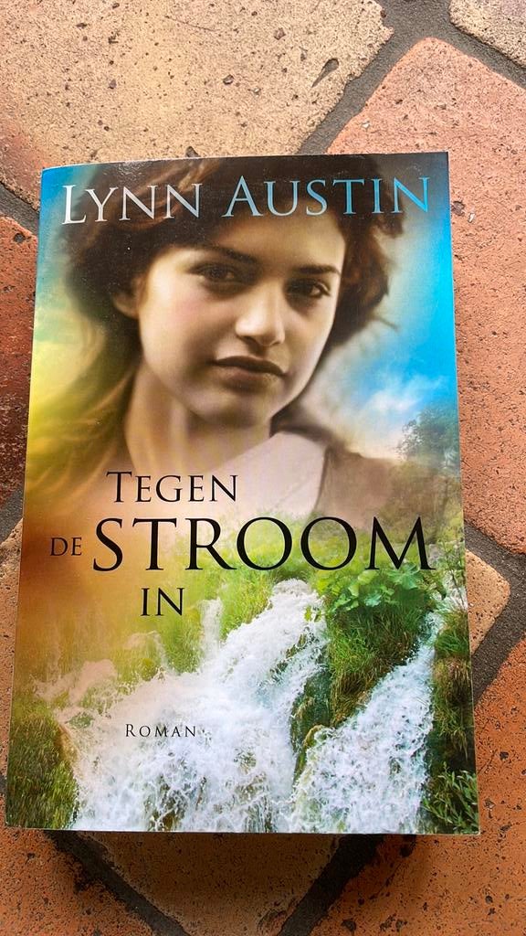 Lynn Austin - Tegen de stroom in, Boeken, Ophalen of Verzenden, Zo goed als nieuw, Lynn Austin
