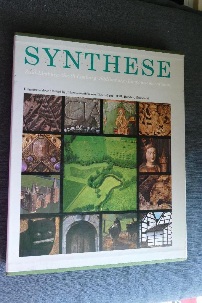 Synthese Zuid-Limburg, Boeken, Ophalen of Verzenden