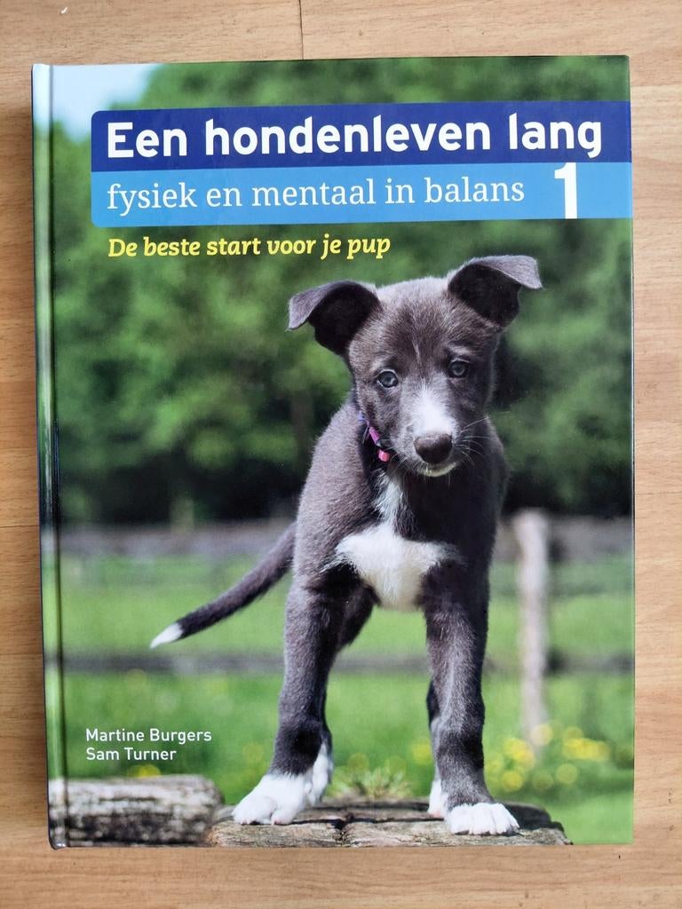 Een hondenleven lang, deel 1, Boeken, Dieren en Huisdieren, Ophalen of Verzenden, Zo goed als nieuw, Honden, Martine Burgers, Sam Turner