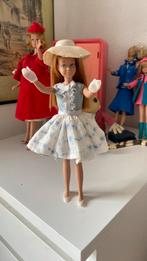 Skipper, Ophalen of Verzenden, Zo goed als nieuw