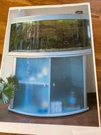 Aquarium  aqualantis met gebogenruit, Ophalen, Gebruikt, Gevuld zoetwateraquarium