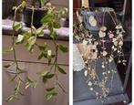 Twee kleine Hangplantjes Tradescantia & String of Hearts, Ophalen, Overige soorten, Halfschaduw, In pot