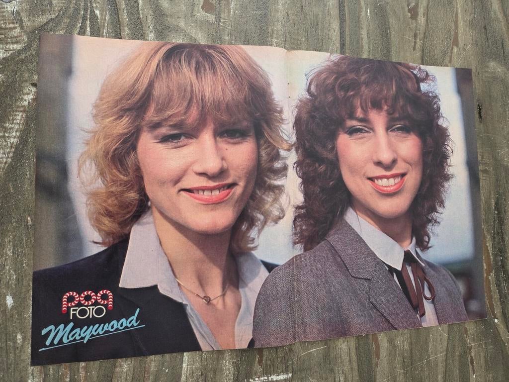 Popfoto Poster van Maywood, Ophalen of Verzenden, Poster, Artwork of Schilderij