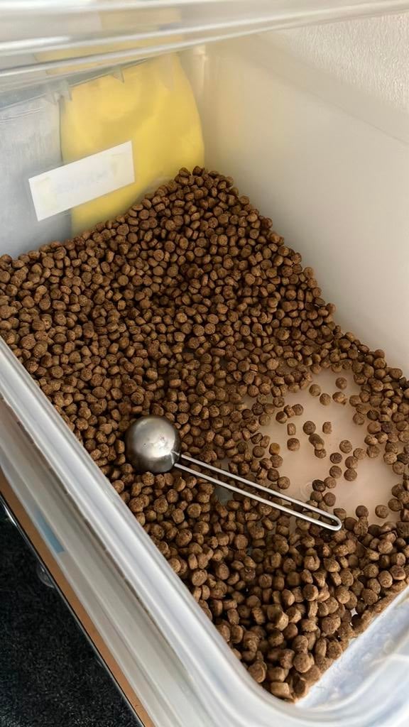 Kattenbrokjes sanabelle senior, Dieren en Toebehoren, Dierenvoeding, Ophalen, Kat